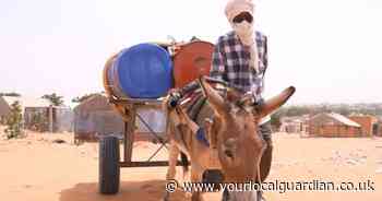Rare video of a working donkey shows demanding work and daily challenges