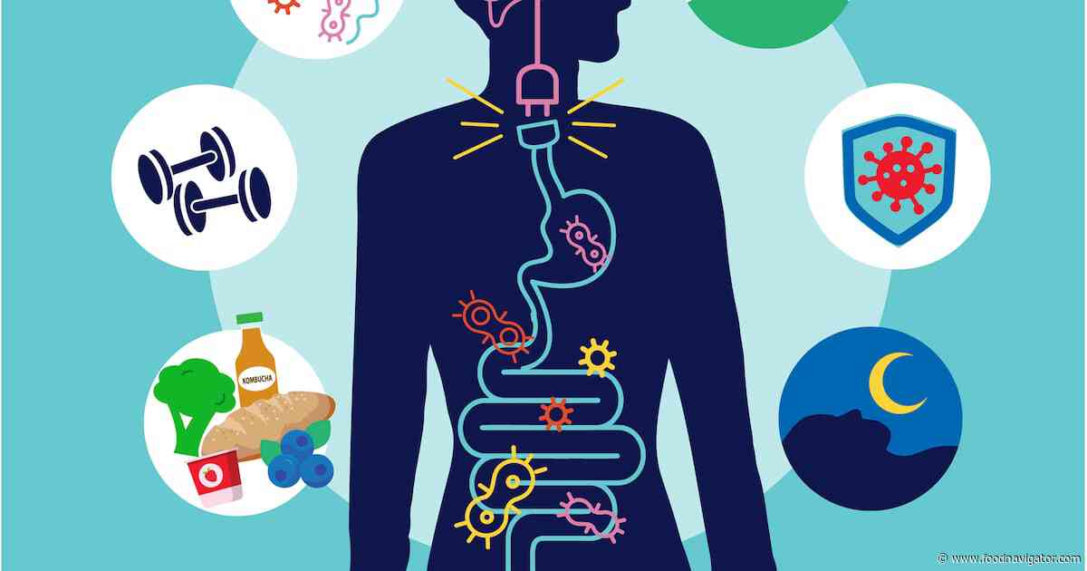 Dr Megan Rossi on the evolution of gut health