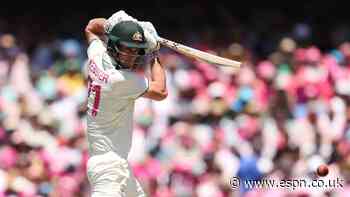 'I pride myself on problem-solving' - Webster prepares for tough South Africa initiation