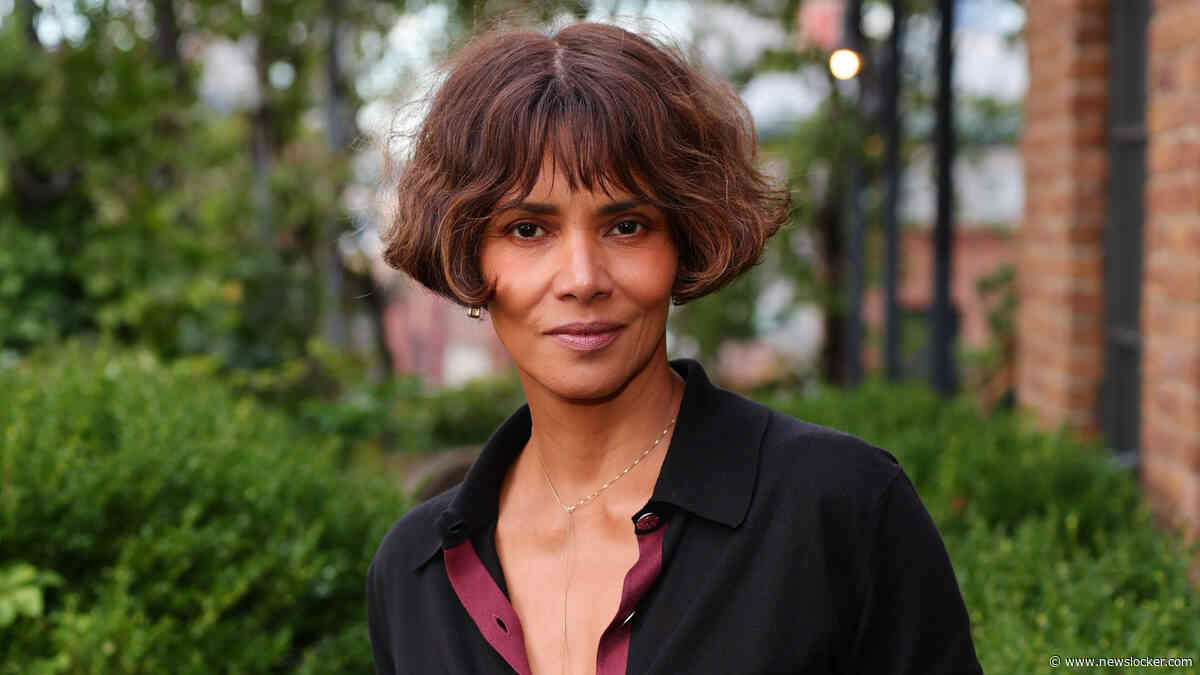 Actrice Halle Berry (60) raakt tijdelijk voogdij over zoon kwijt na zware beschuldigingen van ex