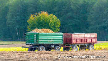 Polen oogst minder uien, aardappelen en peen