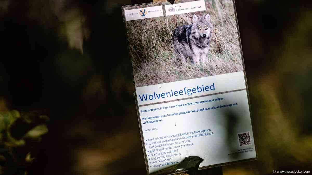 Rechter houdt vangen en zenderen Utrechtse wolvenroedel tegen