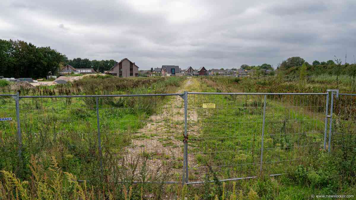 Nieuwbouwwijk Renswoude wordt tóch gebouwd na ’konijnengate’: ’Heel belangrijk dat iedereen zich aan afspraken houdt’
