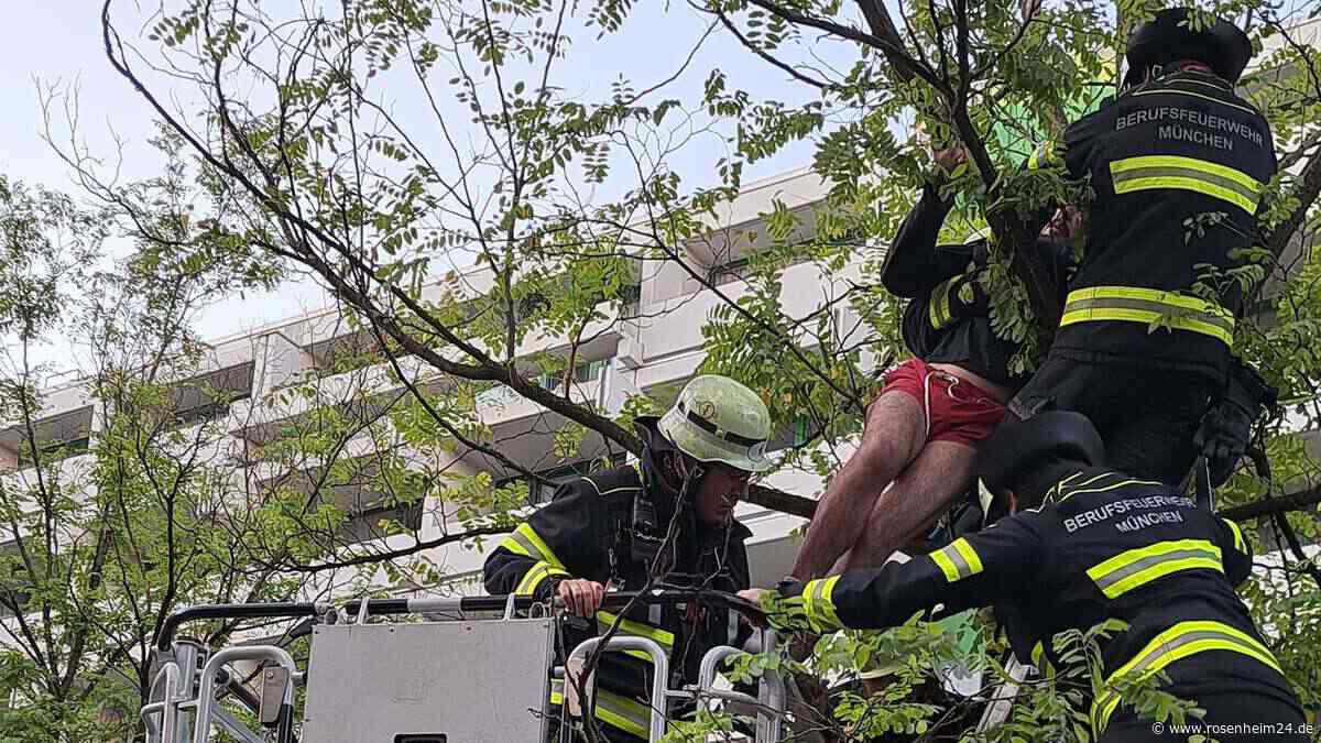 Kurioser Feuerwehreinsatz in München: Mann verbringt halbe Nacht im Baum