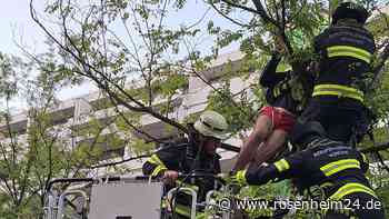 Kurioser Feuerwehreinsatz in München: Mann verbringt halbe Nacht im Baum