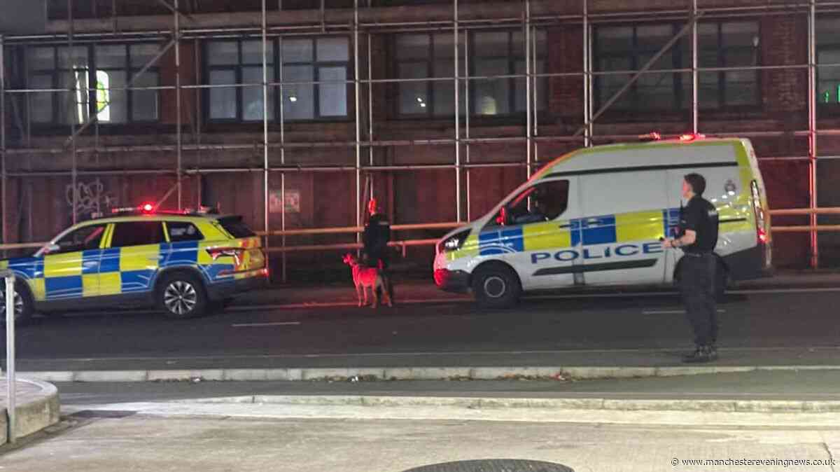 Police dogs descend on street after youngsters seen on scaffolding
