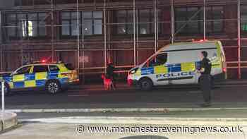 Police dogs descend on street after youngsters seen on scaffolding