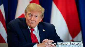 Minister gives fuel shortage update after Trump 'ban' news