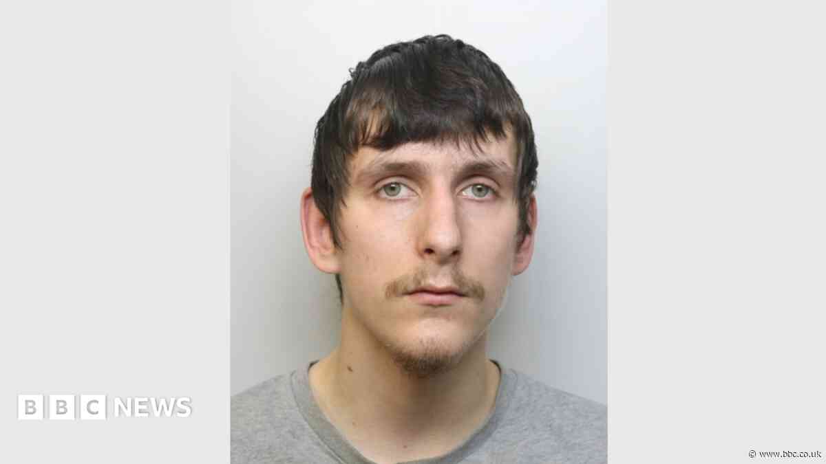 Teen sentenced for nine arson attacks that destroyed cars and homes