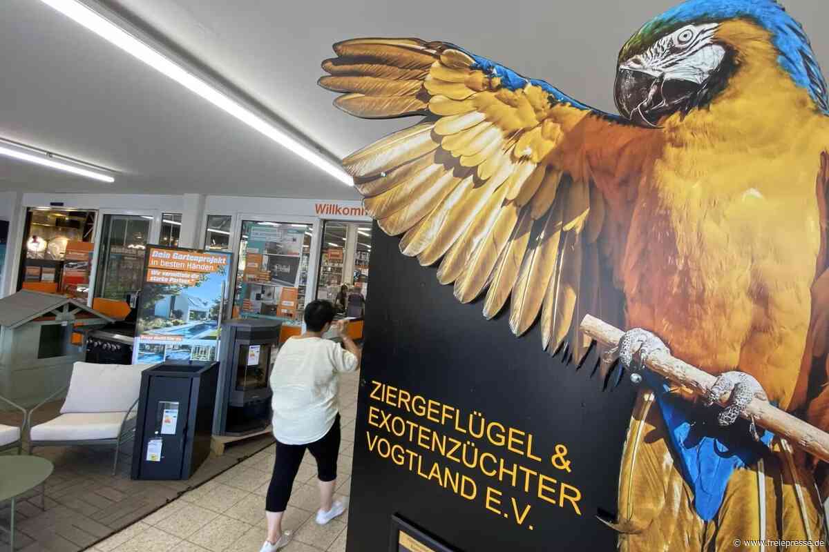 Große Exotenschau steigt im Vogtland – Obi-Papagei Pluto ist auch am Start