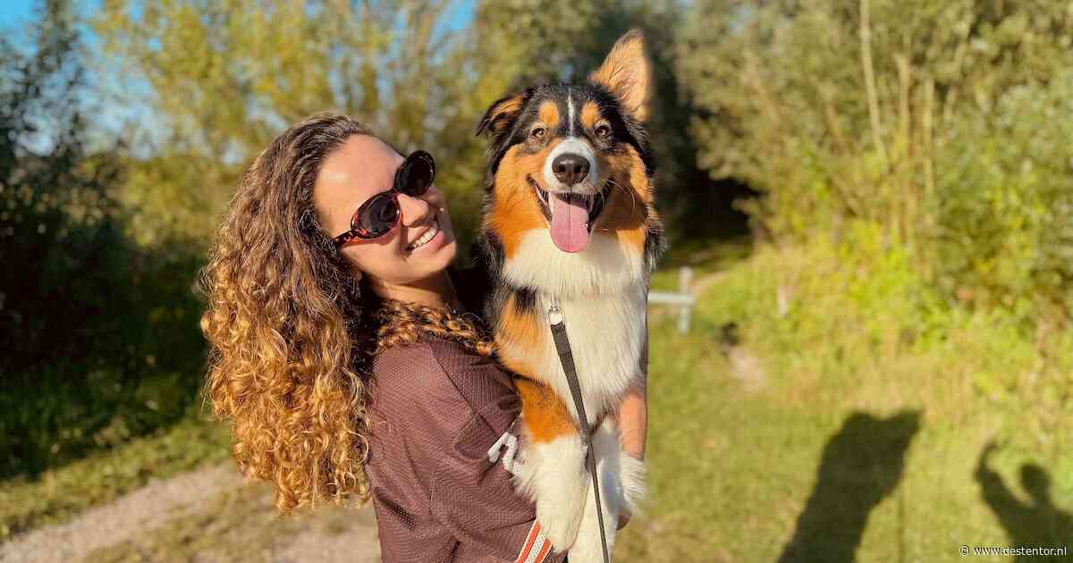 Huisdier in de spotlight: Dit is er te doen op Dierendag in Deventer