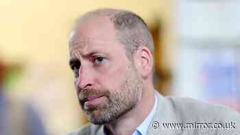 'Have we now crossed the boundaries of taste and decency'? Prince William's sadness over fresh betrayal