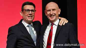 Labour unrest over John Healey's failure to brace Brits for tax hikes ahead of nightmare pre-Halloween Budget