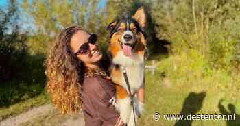 Huisdier in de spotlight: Dit is er te doen op Dierendag in Deventer