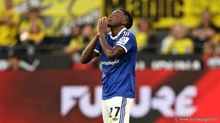 Bitterer Ausfall: Daka fehlt dem HSV länger
