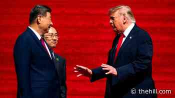 Trump’s powerful new friends are making MAGA uncomfortable