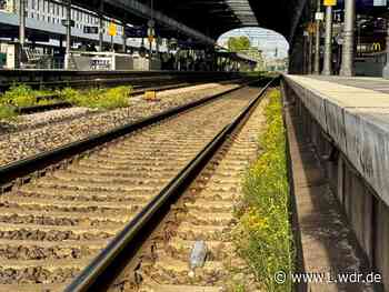 Bonn Hauptbahnhof: Frau von Güterzug erfasst