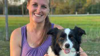 American-Shepherd-Hündin Moon ist der Star der Agility-Szene