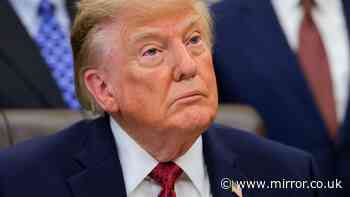 What would Donald Trump ban on US diesel exports mean for UK drivers?
