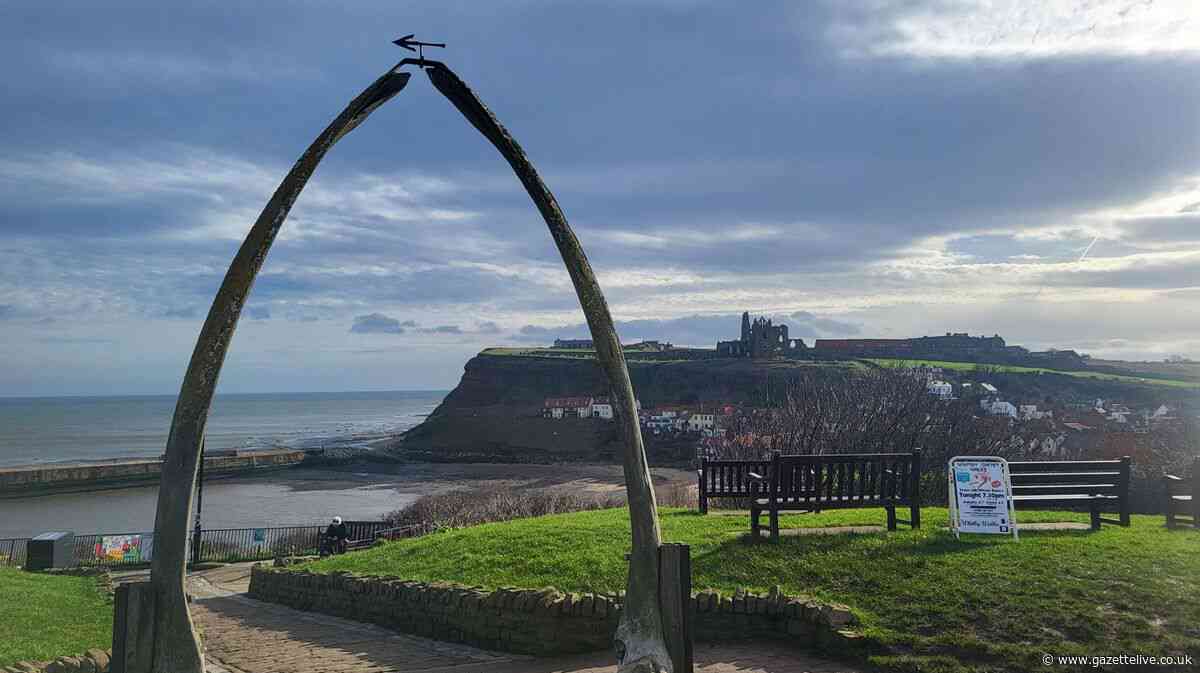 Overnight visitor levy plan could be 'straw that breaks camel's back', North Yorkshire MP warns