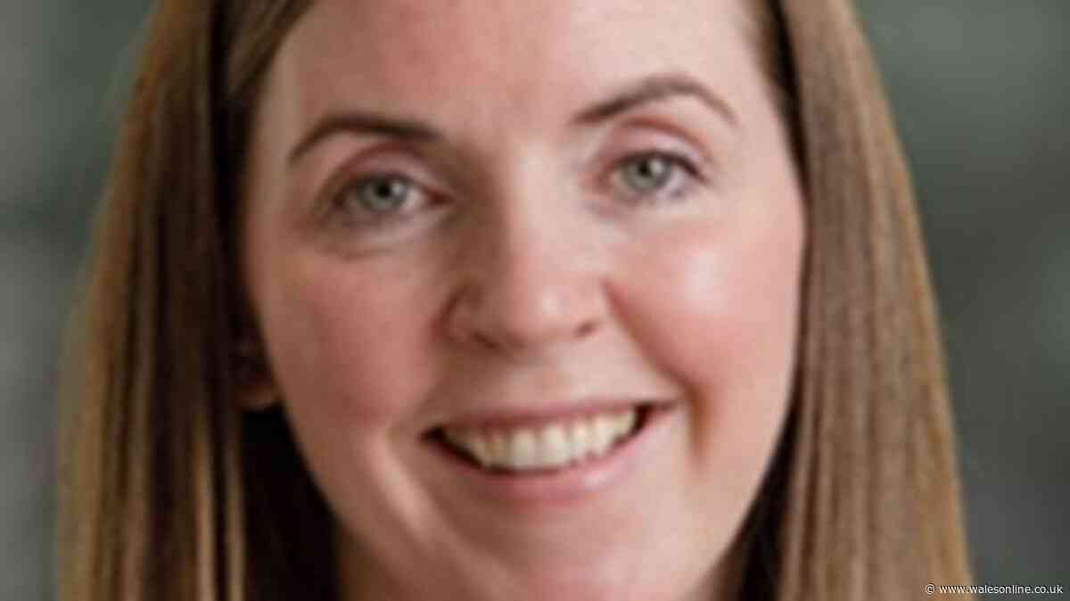 'We want to build a bespoke energy plan for Wales to shape the future'
