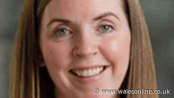'We want to build a bespoke energy plan for Wales to shape the future'