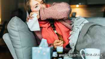 How to tell if you have Covid, cold or flu after symptoms change