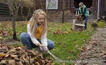 Tuinieren in oktober: zo gebruik je bladeren, stekken en een insectenhotel