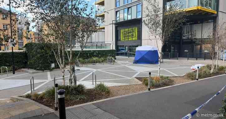 People living at London luxury tower block ‘shaken’ after latest tragedy