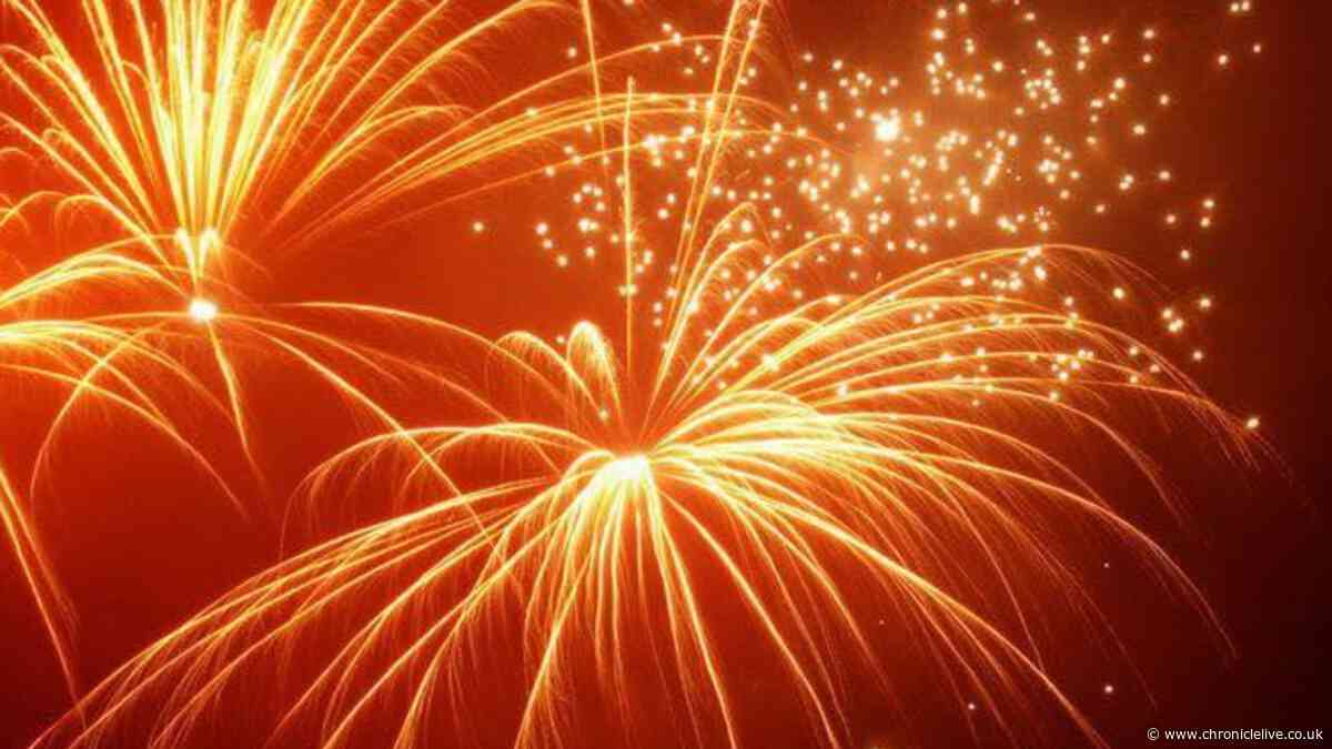 Famous Newcastle firework display confirms 50th birthday extravaganza for 2026