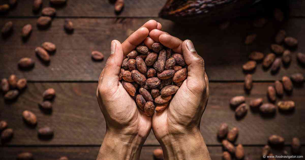 Chocolate without cocoa? Why the industry’s taking alternatives seriously