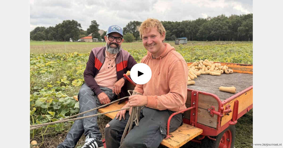 Biologische tuinder Sil kiest voor paarden in plaats van trekker