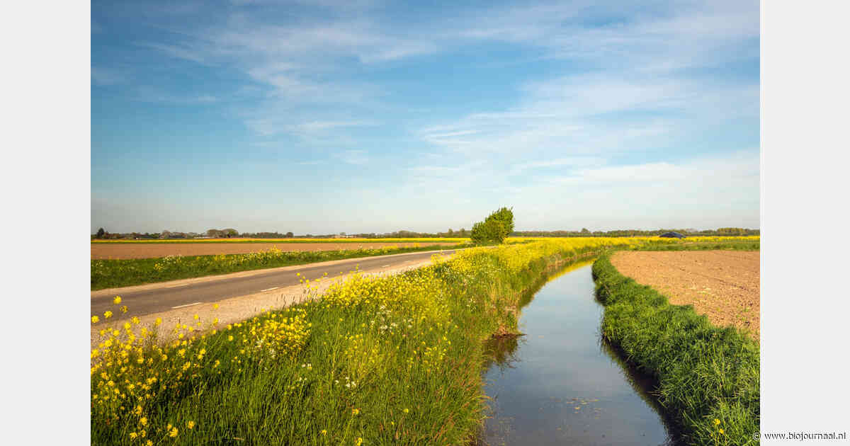 Waals waterkwaliteitproject Blue Deal Agricole zoekt 160 proefbedrijven