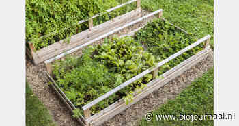 Belangstelling voor biologische ingrediënten groeit in Genemuiden