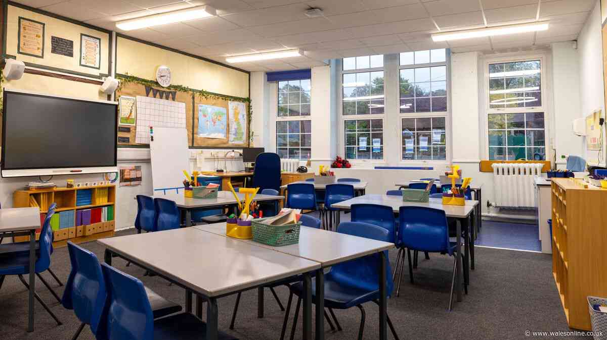 Schools in Swansea to lose thousands of pupils