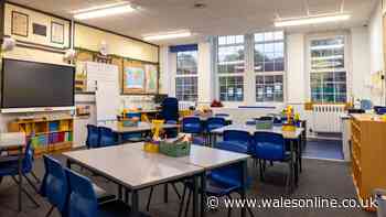 Schools in Swansea to lose thousands of pupils