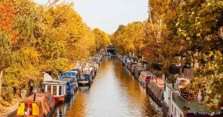 London’s most beautiful autumnal walks and where to stop for coffee along the way