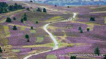 Work begins on £1.3m upgrade for Moel Famau