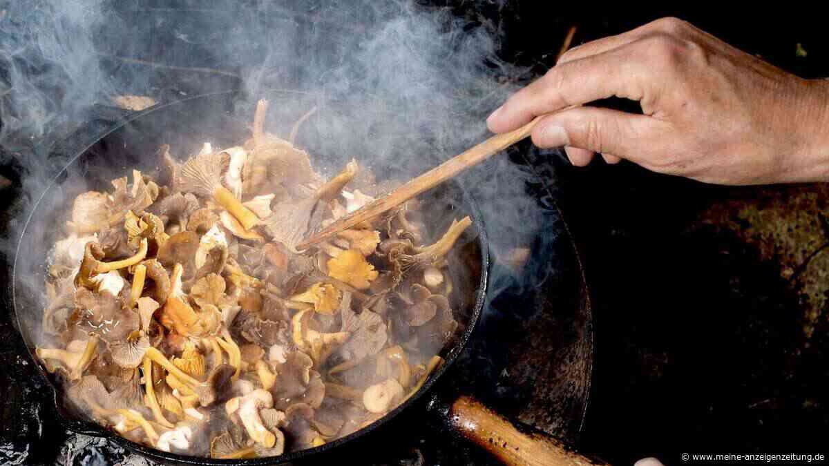 Wie lange garen Sie Ihre Pilze? Bestimmt nicht lange genug