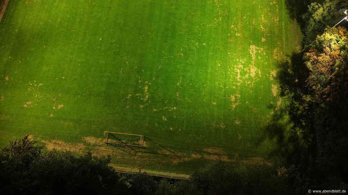 Wildschwein-Posse in Moorburg: Verein soll für Schutzzaun jetzt Bäume vermessen