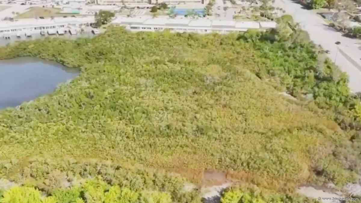 Preservation group urges Pinellas County to buy 29 acres near Boca Ciega Bay