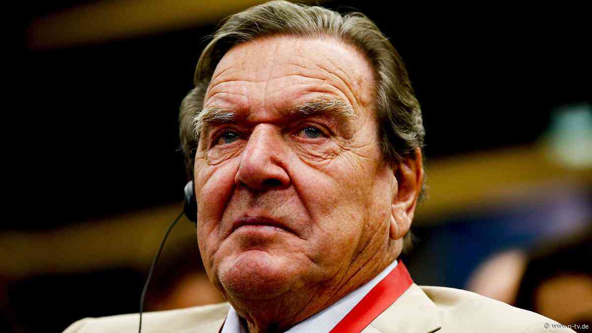 Firmenentwicklung unterstützen?: Schröder soll im Aufsichtsrat der russischen Supermarktkette Globus sitzen