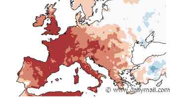Europe's scorching summer: Record 52% of the continent was hit by extreme heat stress as temperatures shattered records, data reveals