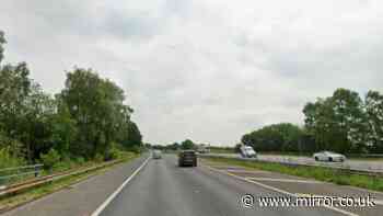 Bee Network double decker bus drives on wrong side of M67 into oncoming traffic