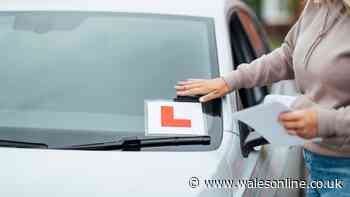 Young drivers see the biggest insurance savings, data suggests