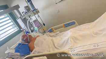 Brit fighting for life after hitting head just hours into Lanzarote family holiday