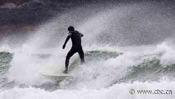 Tofino-area landfill bans neoprene wetsuits