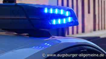Fußgänger versperrt Traktor mit seinem Hund den Weg – lautstarker Streit folgt