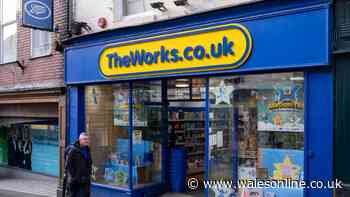 The Works says 'stop using immediately' as item pulled from shelves over 'serious chemical risk'