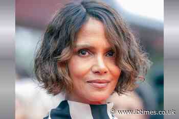 Olivier Martinez Allegedly Files Temporary Restraining Order Accusing Halle Berry of Choking Their Son